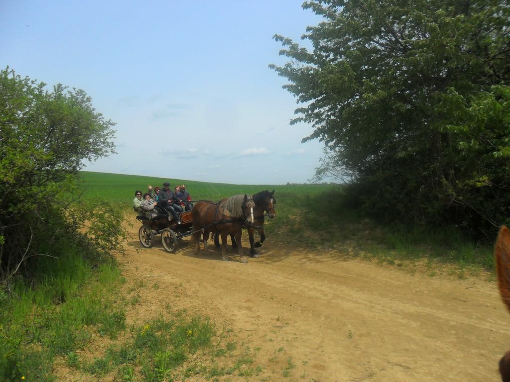 Gadanyi Vendeghaz Es Lovarda Komló Buitenkant foto